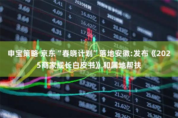 申宝策略 京东“春晓计划”落地安徽:发布《2025商家成长白皮书》和属地帮扶