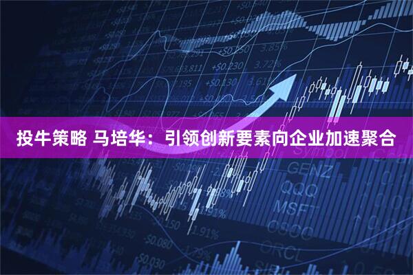 投牛策略 马培华：引领创新要素向企业加速聚合