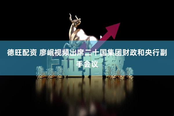 德旺配资 廖岷视频出席二十国集团财政和央行副手会议